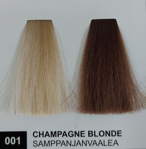 Crestol Color Gloss 001 Champagne Blonde / Shamppanjanvaalea 150ml